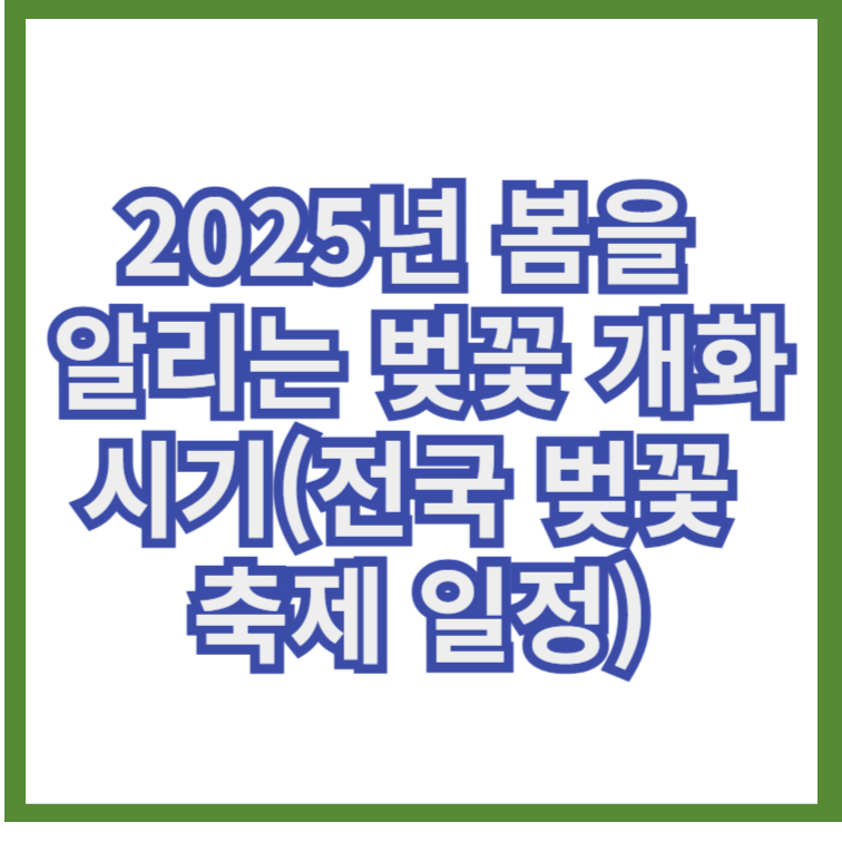 2025년봄을 알리는 벚꽃개화시기