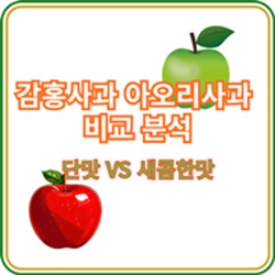 감홍사과아오리사과비교분석
