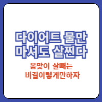 다이어트