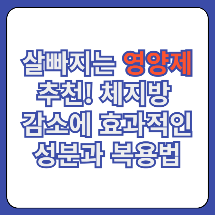 다이어트보조식품