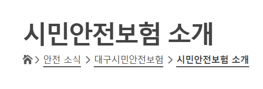 대구시민안전보험