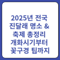 진달래축제
