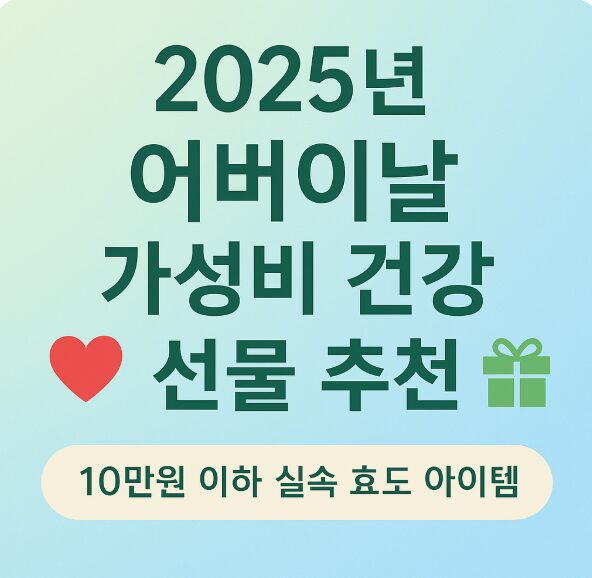어버이날 가성비 건강 선물