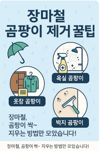 장마철 곰팡이 제거