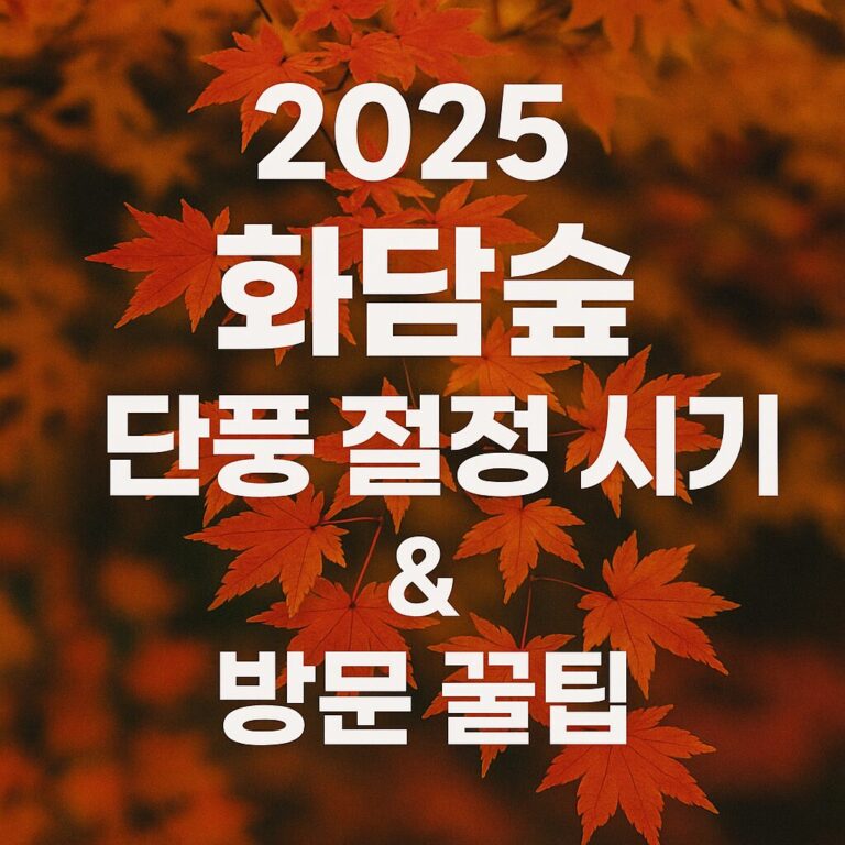 화담숲 단풍 절정 시기